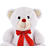 Soft Plush Cute Sitting Teddy Bear- White