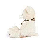 Striped Brown Paw Teddy Bear- Cream