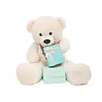 3 Ft Huggable Teddy Bear- White