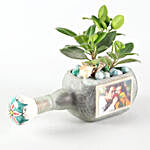 Ficus Compacta Personalised Frozen Bottle Planter