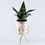 Green Sansevieria Plant Mug Pot With Stand