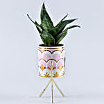 Green Sansevieria Plant Mug Pot With Stand