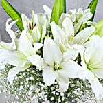 Blooming Asiatic Lilies In Black Ribbon Tied Vase