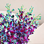 Blooming Blue Orchids In FNP Signature Box