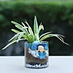 Spider Plant Cylindrical Vase Terrarium
