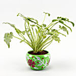 Philodendron Plant Green Floral Print Pot