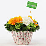 Carnations & Gerberas Cupcake Pot