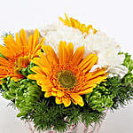 Carnations & Gerberas Cupcake Pot