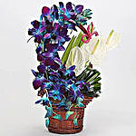 Basket of Blue Orchids & Anthuriums