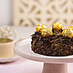 Delectable Rocher Truffle Cake- 1 Kg Eggless