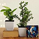 Jade & Syngonium  Plant With Ganesha Table Top
