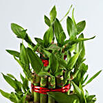 3 Layer Bamboo Plant Embossed Pot With Stand
