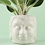 Aglaonema Osaka Plant In Zen Buddha Head Pot