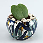 Hoya Plant Blue & White Metal Pot