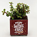 Jade Plant In You are The Sparkle Vase
