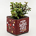 Jade Plant In You are The Sparkle Vase