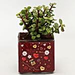 Jade Plant In You are The Sparkle Vase