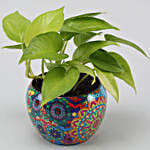 Money Plant In Colourful Rajwada Printed Pot