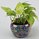 Money Plant In Colourful Rajwada Printed Pot