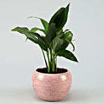 Peace Lily In Pink Powder Metal Pot
