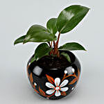 Red Philodendron Plant In Hand painted Pot