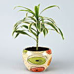 Song Of India Potted Plant In Beige Pot