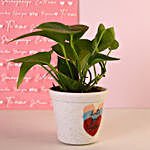 Grow Together Money Plant
