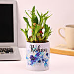 Bamboo plant in a Personalised Mug Combo