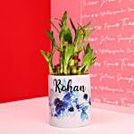 Card & Bamboo Plant Personalised Combo