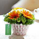 Carnations & Gerberas Cupcake Pot
