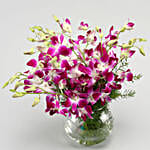 Stunning Purple Orchid Bunches