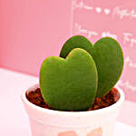 Grow Together Hoya Plant
