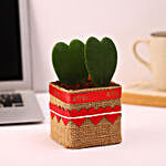 Heartful Hoya Love Plant