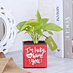 Money Plant In Lucky To Have You Glass Pot