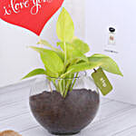 Money Plant Terrarium With Love You Tag