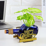 Syngonium Plant In Birthday Antiquity Bottle Planter