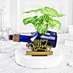 Syngonium Plant In Birthday Antiquity Bottle Planter