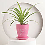 Tropical Delight Plant Pot