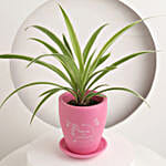 Tropical Delight Plant Pot