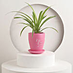 Tropical Delight Plant Pot