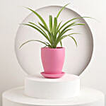 Tropical Delight Plant Pot