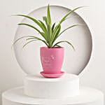 Tropical Delight Plant Pot