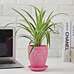 Tropical Delight Plant Pot