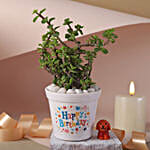 Birthday Joy Jade Plant Set