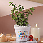 Birthday Joy Jade Plant Set