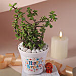 Birthday Joy Jade Plant Set