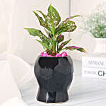 Green Aglaonema Plant in Black Pot