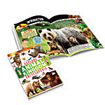 Fun Animal Kingdom Encyclopedia