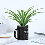Spider Plant Personalised Green Oasis