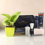 Park Avenue Fragrant Essentials with Golden Money Plant